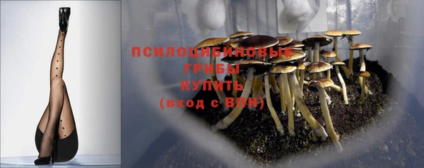 бошки Арсеньев