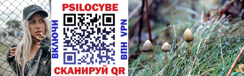 ссылка на мегу зеркало  Кореновск  Галлюциногенные грибы Psilocybine cubensis 